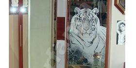 Тигр на двери. Шкаф в прихожую. Шкаф-купе. Дверь для шкафа. Встроенные шкафы. Шкаф с зеркалом