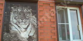 Рольставни. Рольставни на окна. Рольставни с лазерной гравировкой. Анодированный металл. Фотогравировка