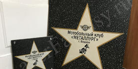 Именные звезды в подарок для мотобольного клуба Металлург г. Видное