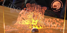 Подсветка стекла: 300х200х8мм. Гравировка животных.