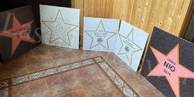 Звёзды 2024 - именные и школьные