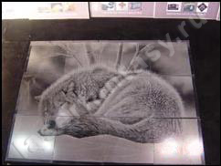 Сборное изображение. Лазерная гравировка на гранитной облицовочной плитке